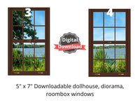 digital download 1:6 scale windows